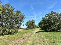 Hrnčiarovce nad Parnou