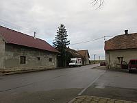 Třibřichy