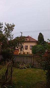 Třibřichy