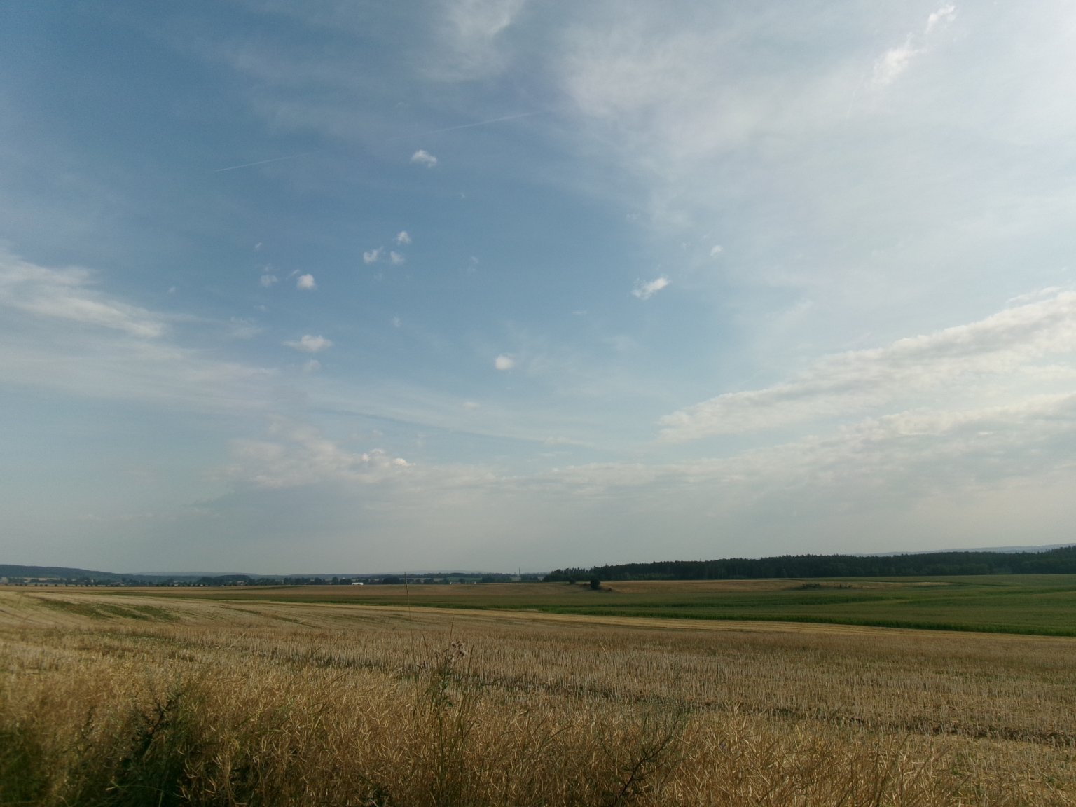 Radimer