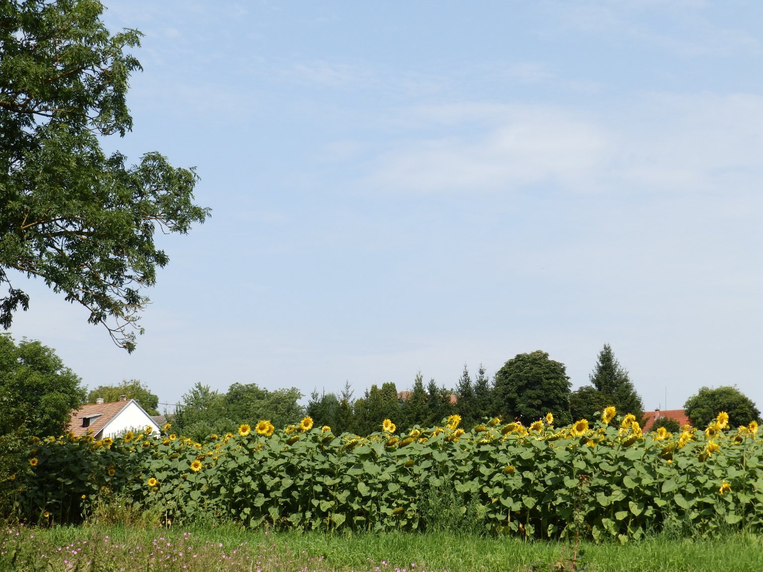 Dětenice-Brodek