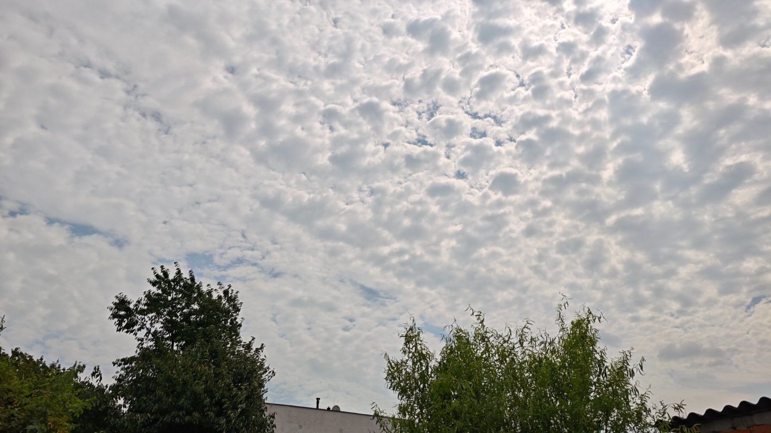 Hořice - Libonice