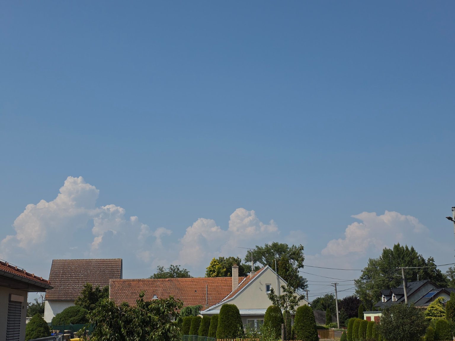 Odrovice
