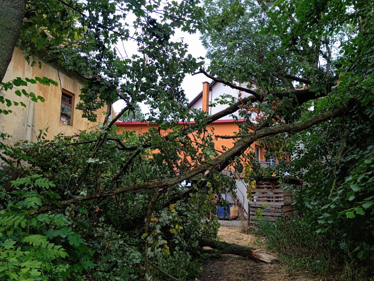 Třebíč-Borovina