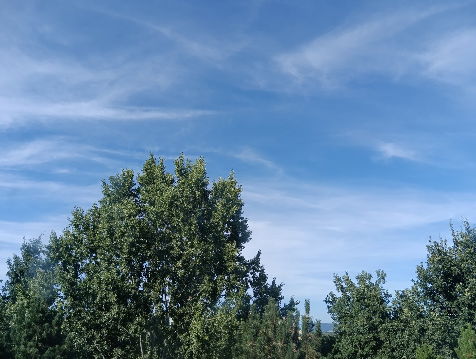 Olomouc-Lazce