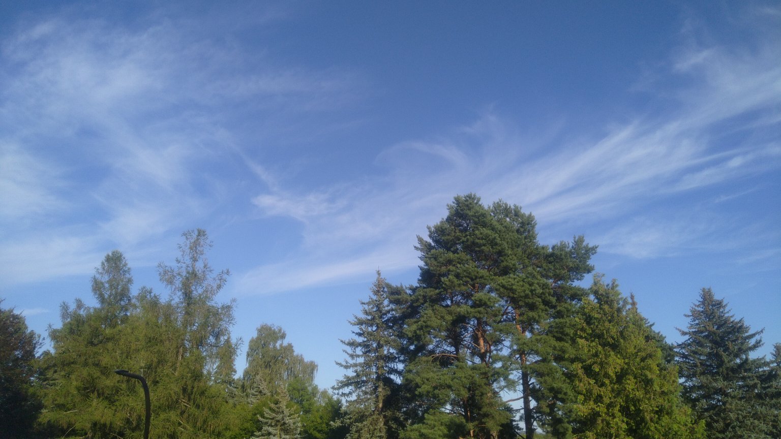 Varnsdorf