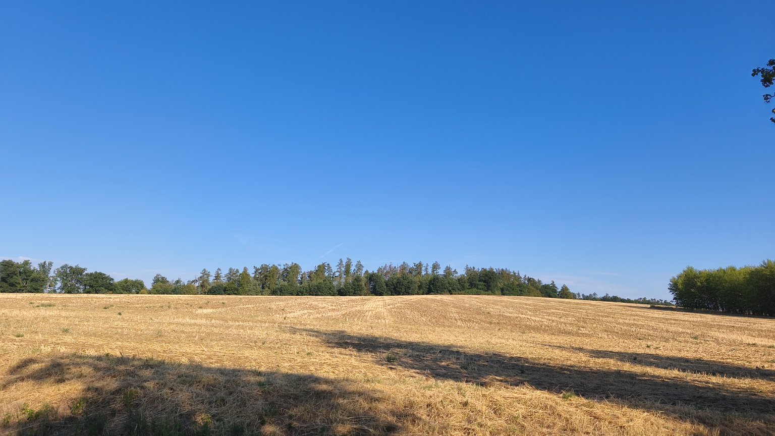 Lukovany