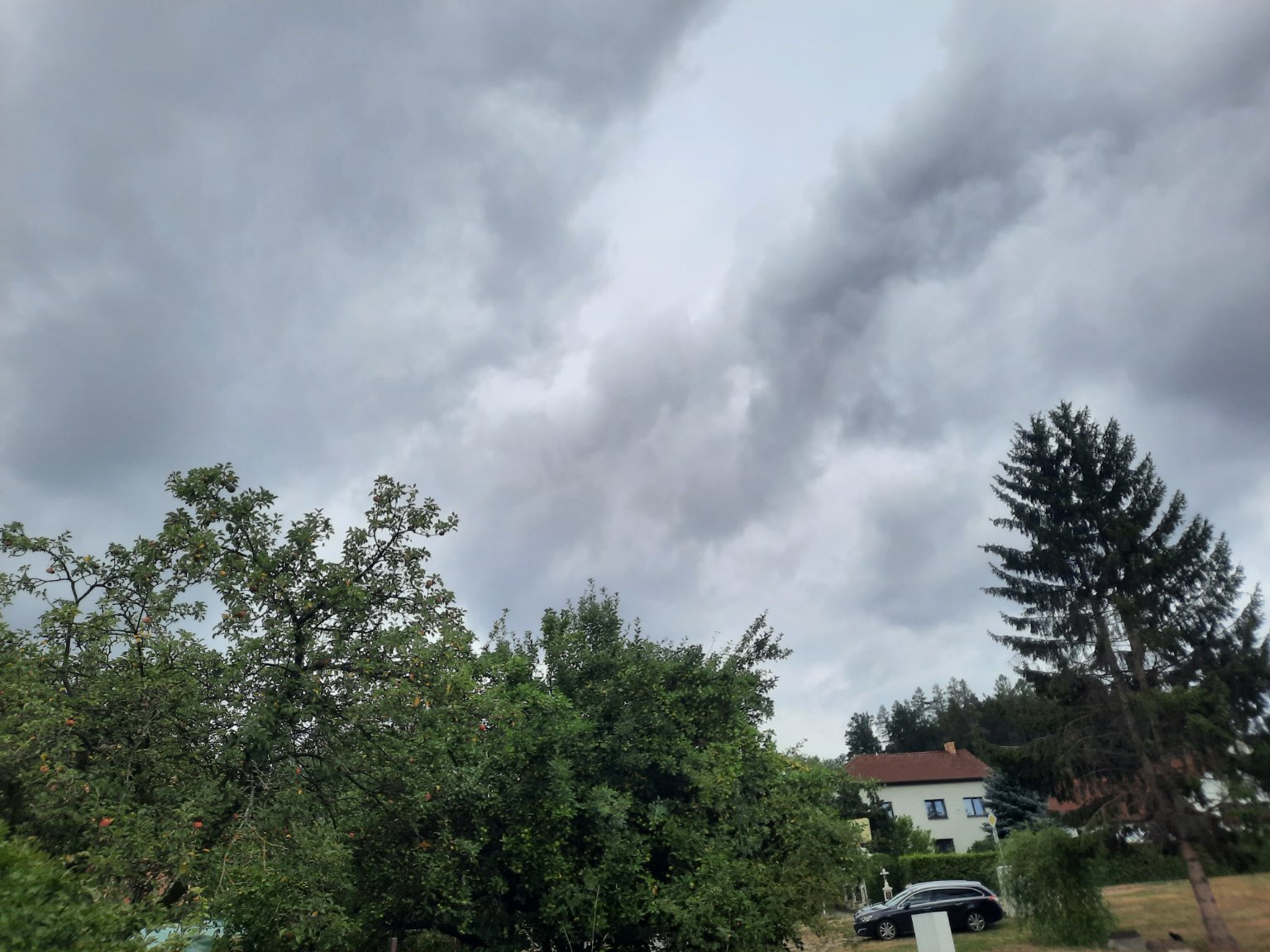 Olešná