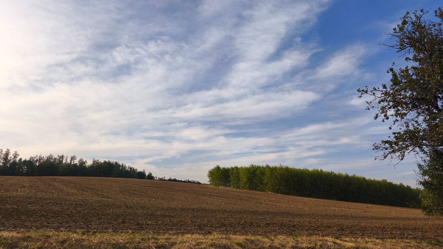 Lukovany