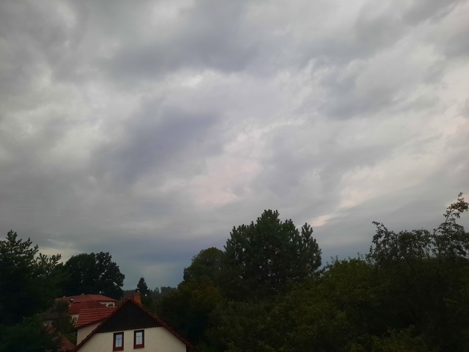 Olešná