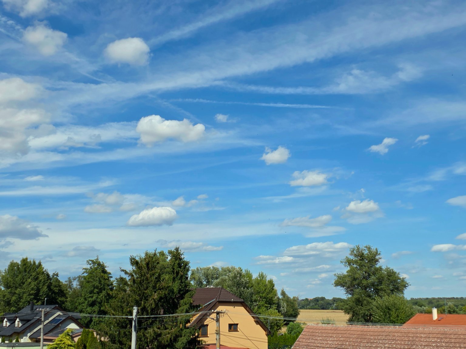 Odrovice