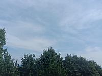 image_1026680.jpg