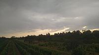 Mikulčice