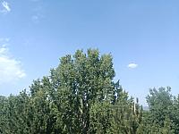 Olomouc-Lazce