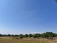 Lukovany