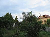 Třibřichy