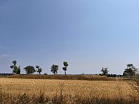 Lukovany