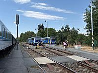 Domažlice
