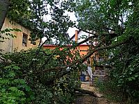 Třebíč-Borovina