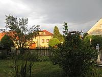 Třibřichy