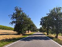 Lukovany