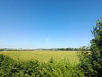 Valtice