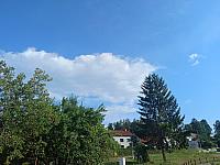 Olešná