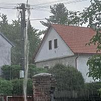 Třibřichy