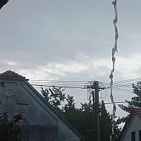 Třibřichy