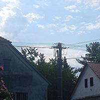 Třibřichy