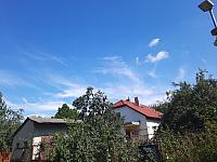 Olešná