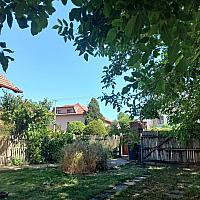 Třibřichy