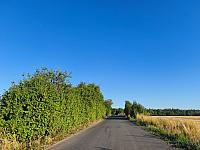 Lukovany