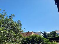 Olešná