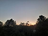 Olešná