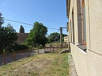 Třibřichy