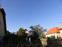 Třibřichy