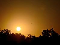 image_1028682.jpg