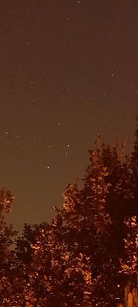 image_1028703.jpg