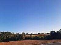 image_1028904.jpg
