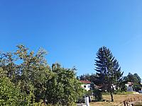 Olešná