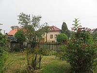 Třibřichy