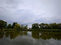 image_1029572.jpg