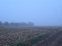 Odrovice