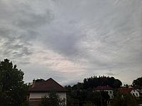 Olešná