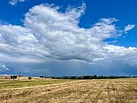 image_1030223.jpg