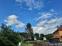 Olešná