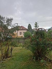 Třibřichy