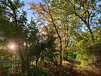 Hrnčiarovce nad Parnou