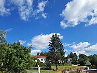 Olešná